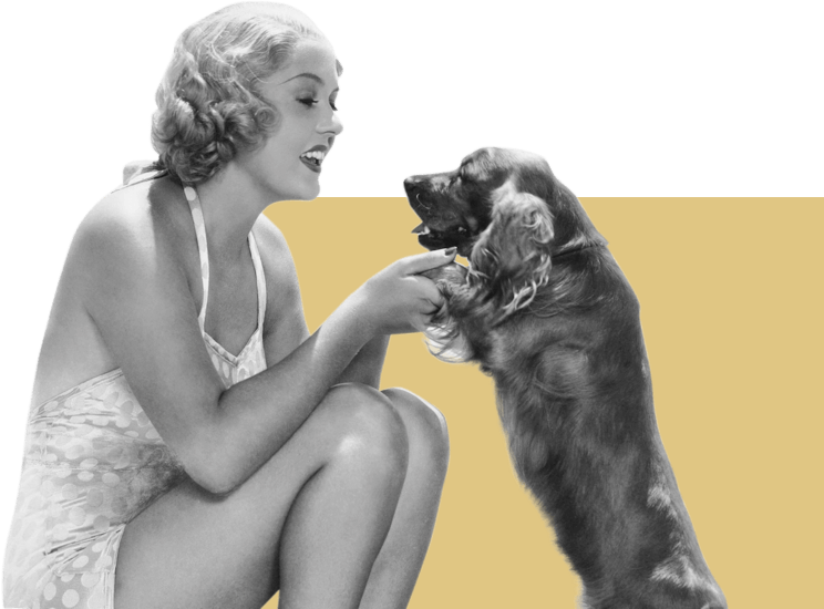 Comida Natural para perros