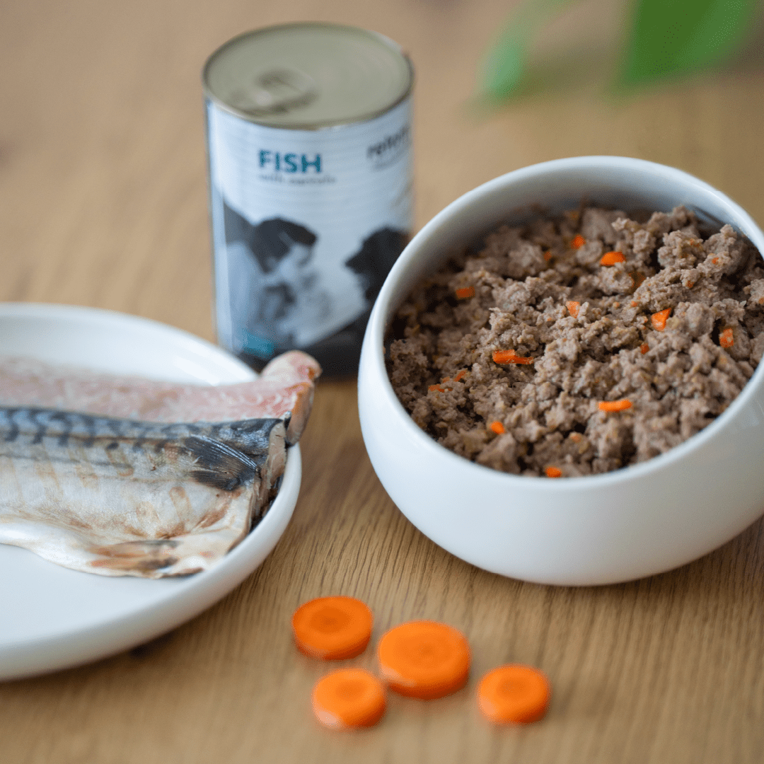 Comida Húmeda para Perros de Pescado con Zanahorias