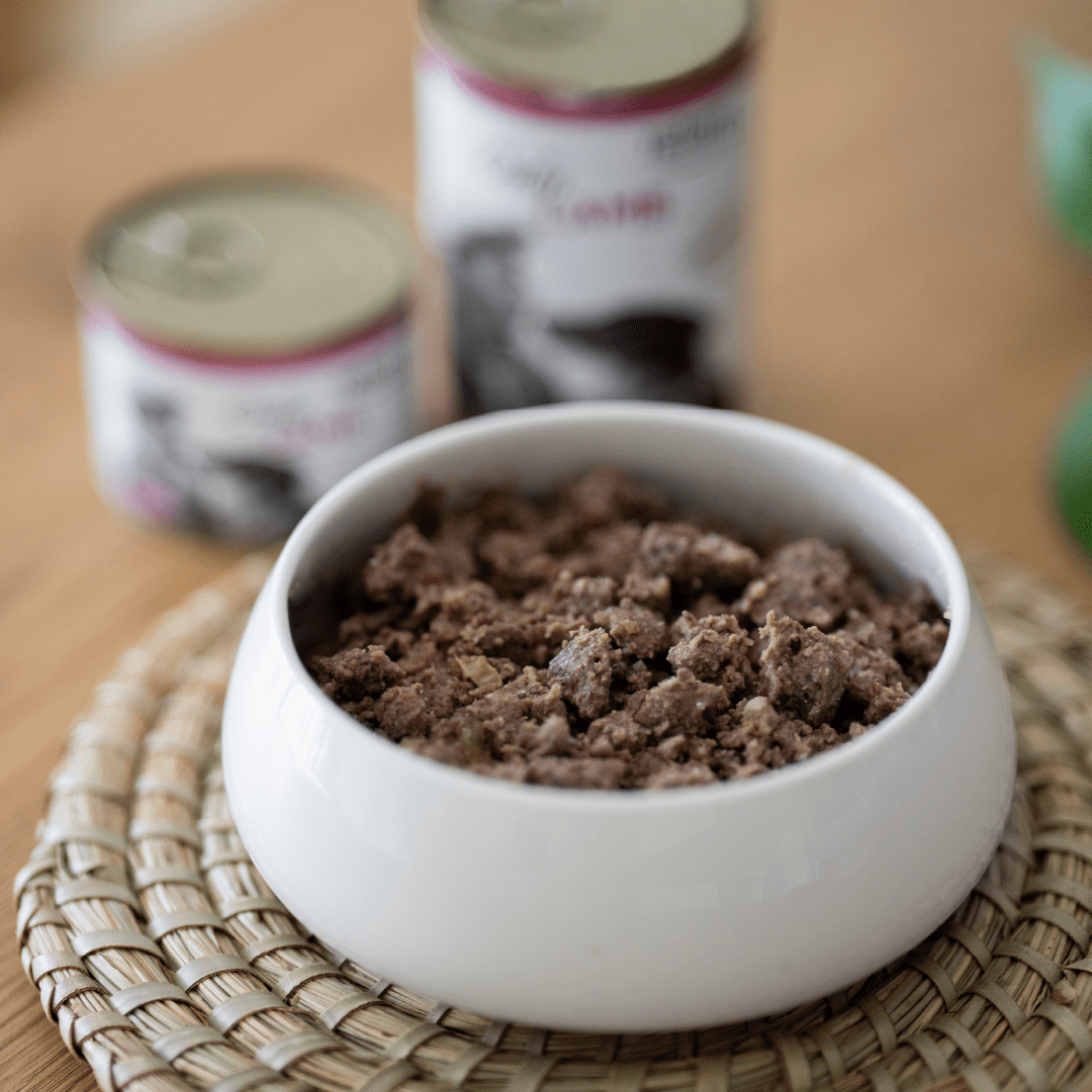 Comida Húmeda para Perros Only Cordero