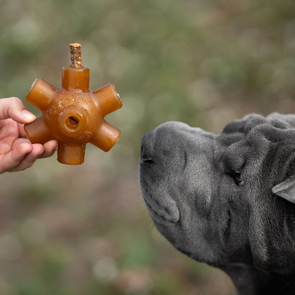 Premio Rub Stick Dental de Pollo para Perros 100g - Small Size 1x1