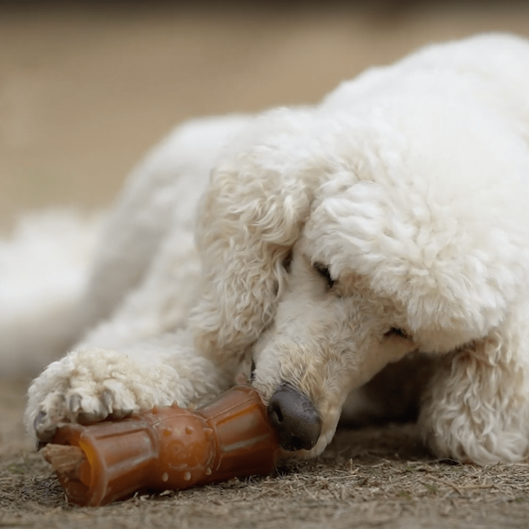 Juguete para Perros - Rub Loop Treat