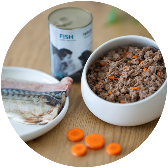 Comida Húmeda para Perros