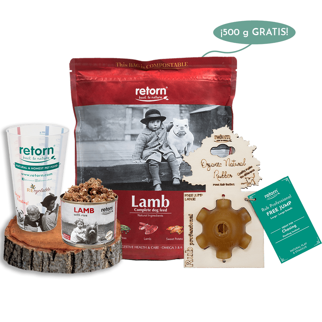 Pack Descubrimiento Mix Bowl Cordero para Perros medianos y grandes con Pienso GRATIS