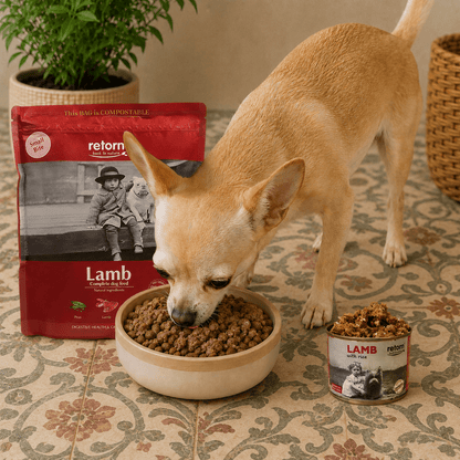 Pack Descubrimiento Mix Bowl Cordero para Perros Pequeños con Pienso GRATIS