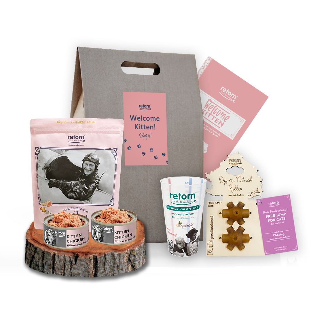 ¡Hola Kitten! Pack de bienvenida para Gatitos