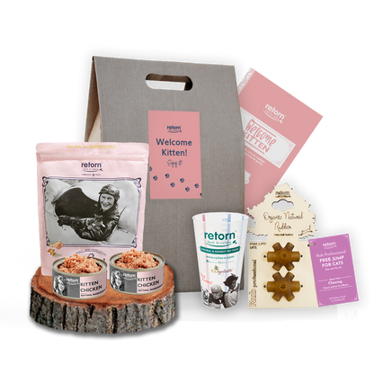 ¡Hola Kitten! Pack de bienvenida para Gatitos