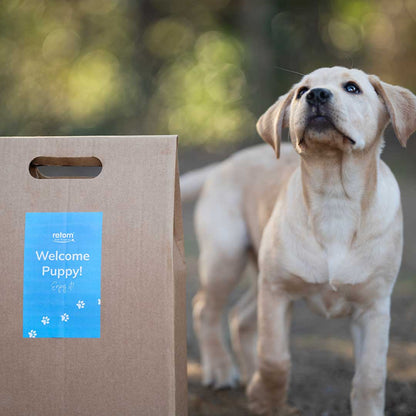 ¡Hola Puppy! Pack de bienvenida para Cachorros