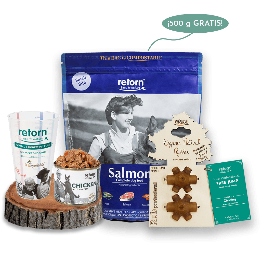 Pack Descubrimiento Mix Bowl Salmón para Perros Pequeños con Pienso GRATIS