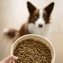 Pienso Natural para Cachorros de Salmón