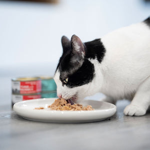 Comida Húmeda para Gatos de Atún con Mejillones