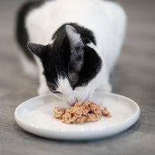 Comida Húmeda para Gatos de Atún con Mejillones