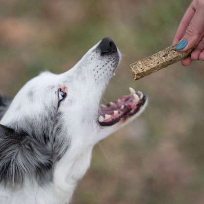 Premio Rub Stick Dental de Pavo para Perros 100g - Regular Size 2x2