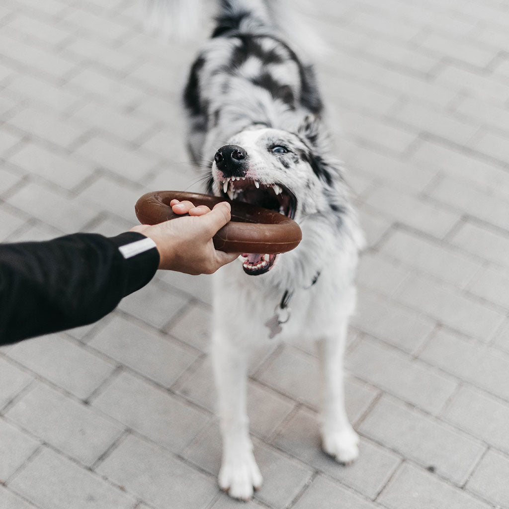 Juguete para Perros - Rub Bite