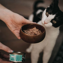 Comida Húmeda para Gatos de Atún con Gambas