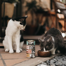 Comida Húmeda para Gatos de Atún con Mejillones