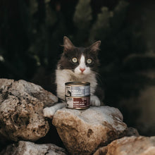 Comida Húmeda para Gatos de Atún con Sardina