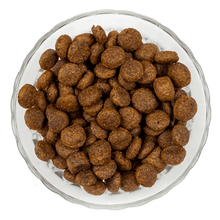 Natural Food for Salmon Puppies