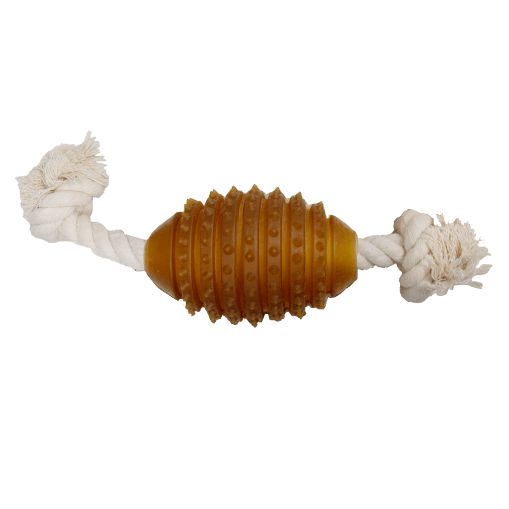 Juguete para Perros - Rub Rugby Spike & Rope