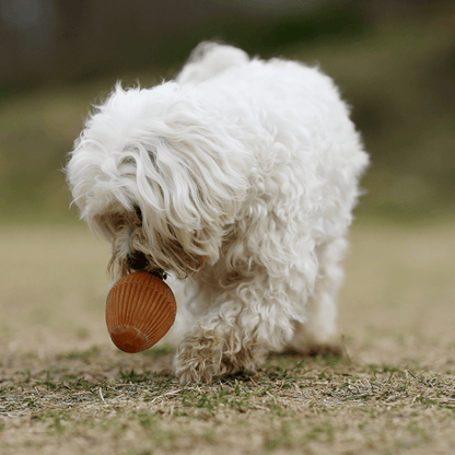 Juguete para Perros - Rub Gossy Egg
