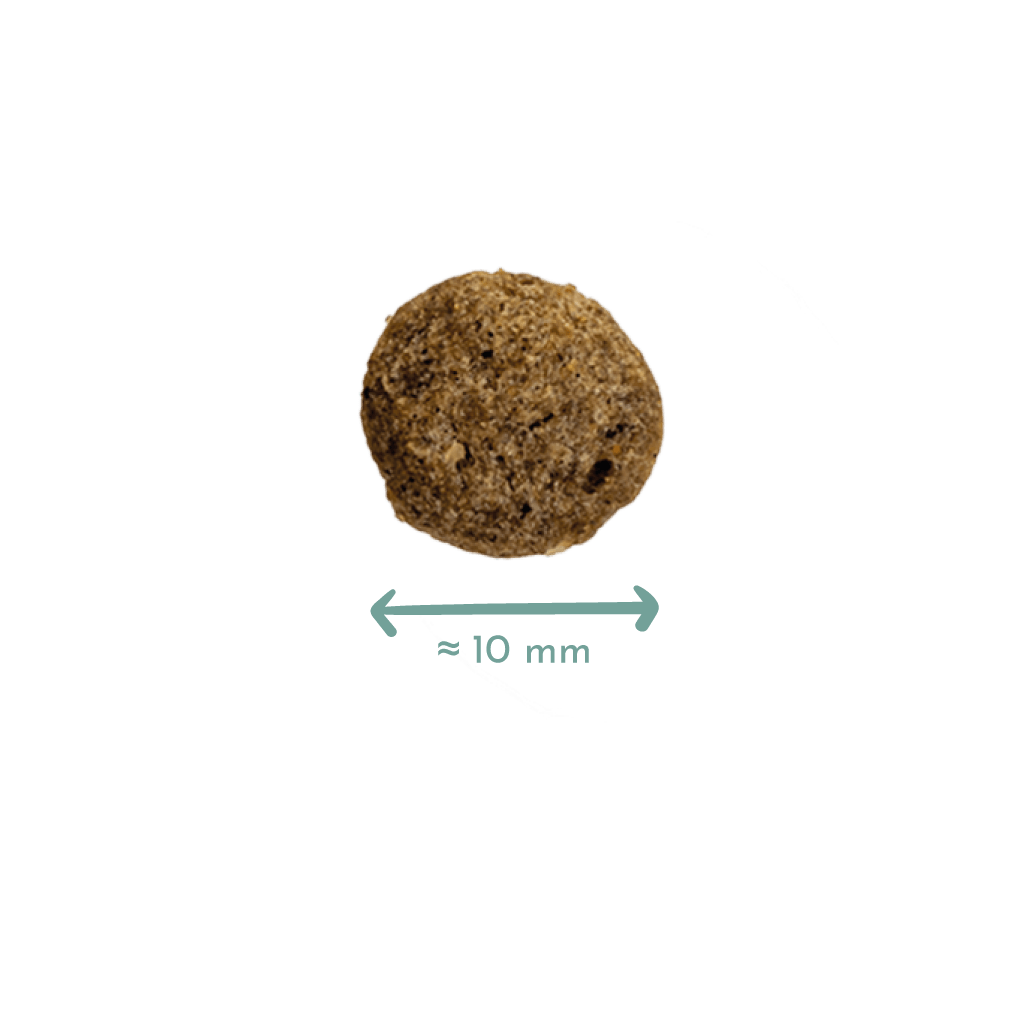 Pienso Natural para Cachorros de Salmón