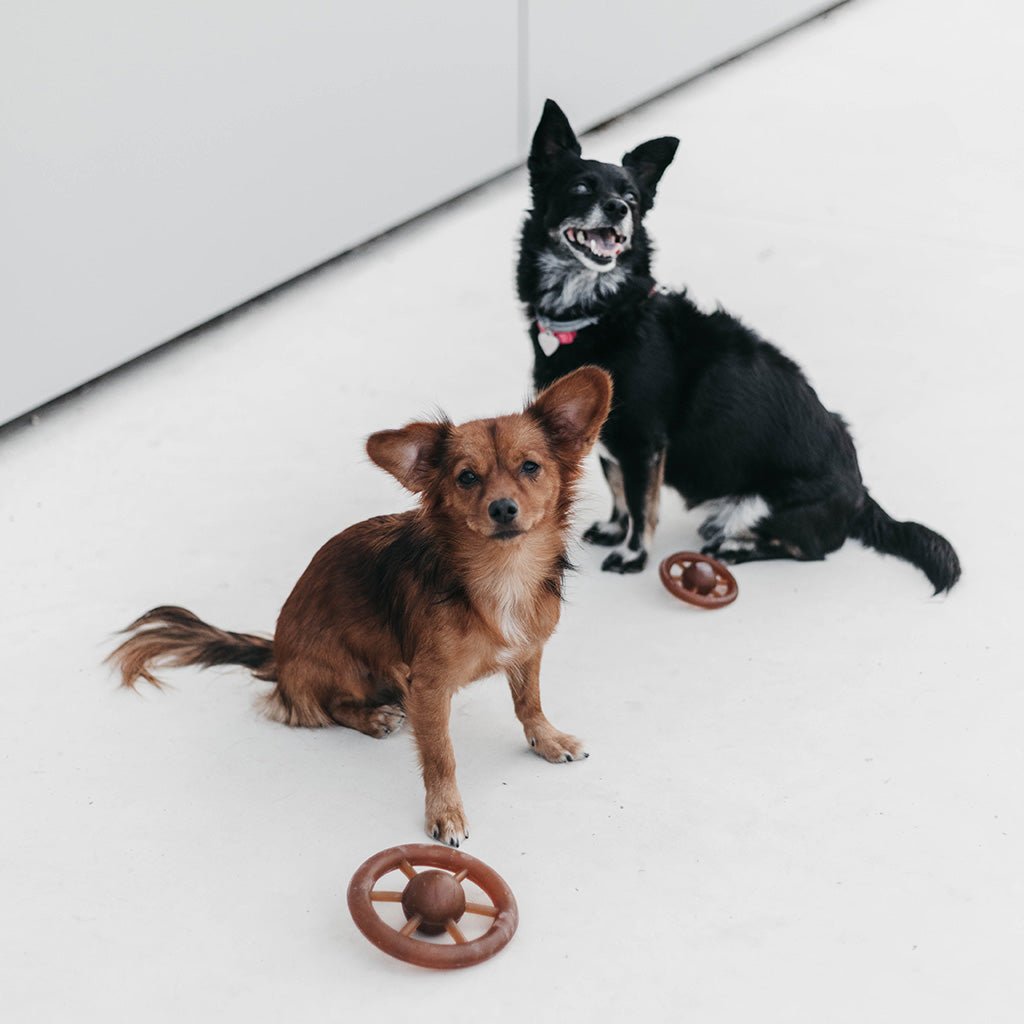 Juguete para Perros - Rub Wheel
