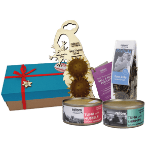 Weihnachtsgeschenkbox für Katzen