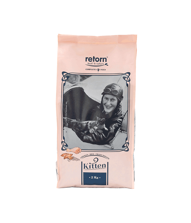 Pienso para gatitos