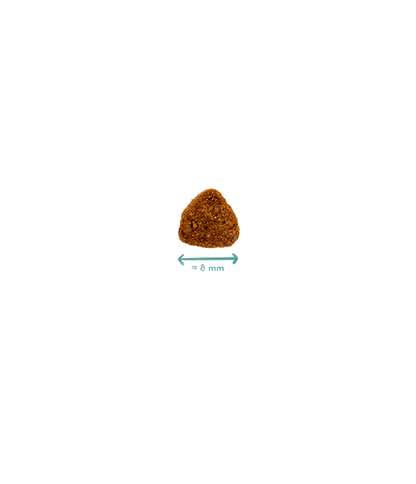 tamaño croqueta